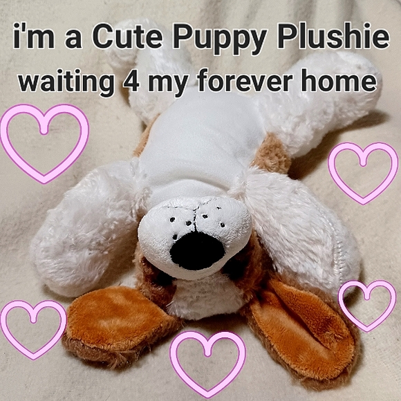 Adorable Puppy Plushie Stuffed Animal. - Picture 1 of 6